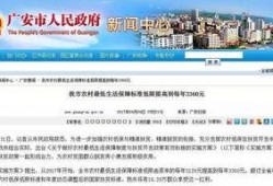 广安生活爆料最新消息,最新动态速览，揭秘城市新鲜事